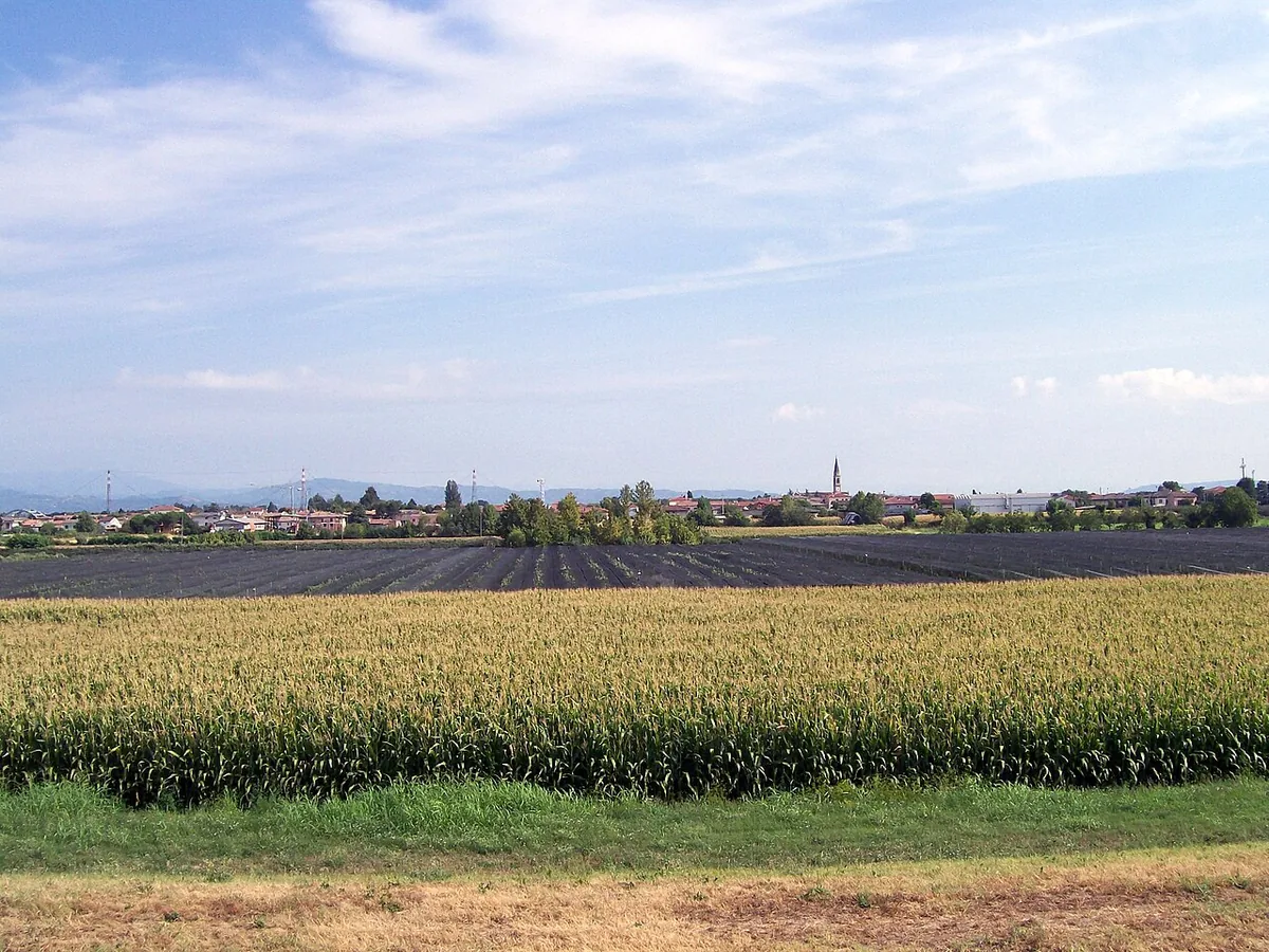 Veduta di Albaredo d'Adige.