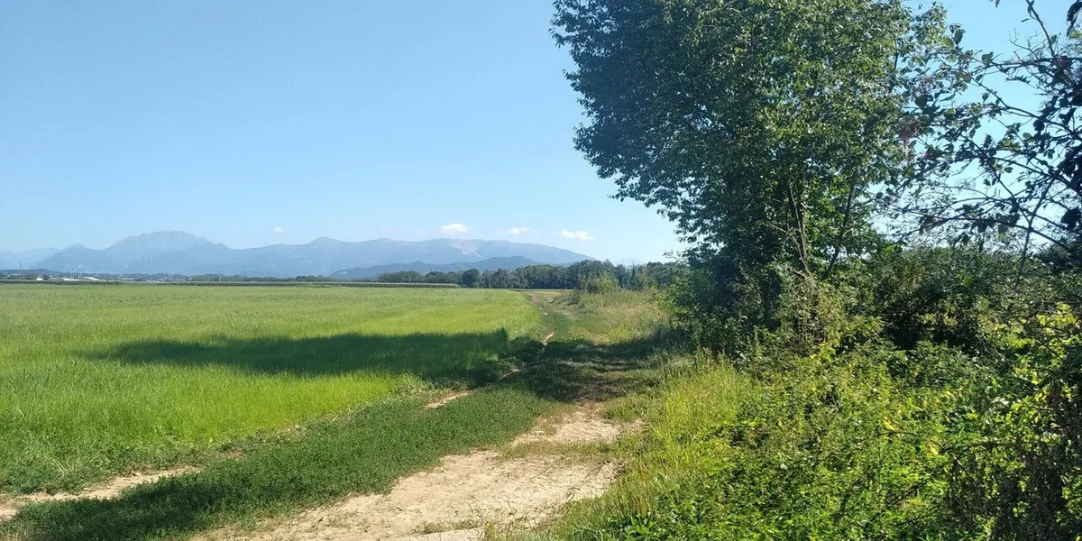 Veduta di Bernareggio.