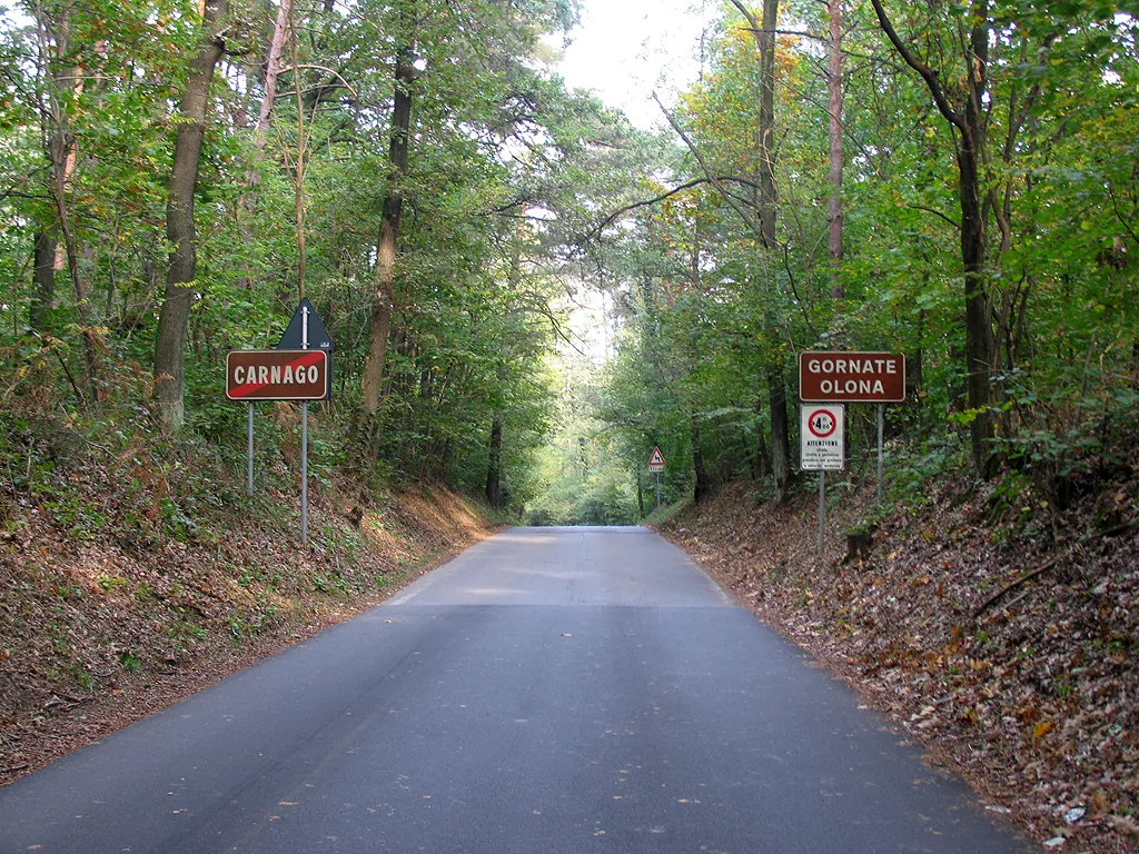 Veduta di Carnago.