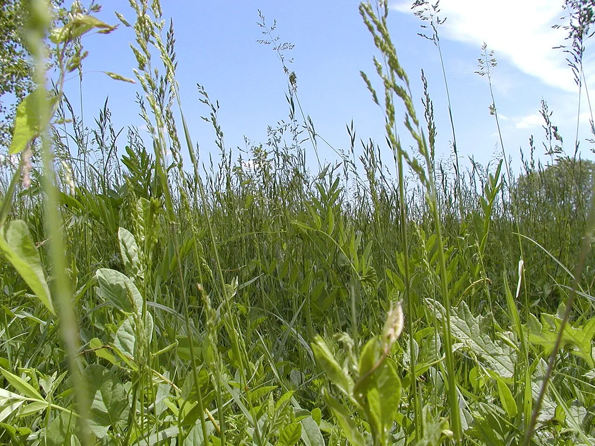 Veduta di Erba.