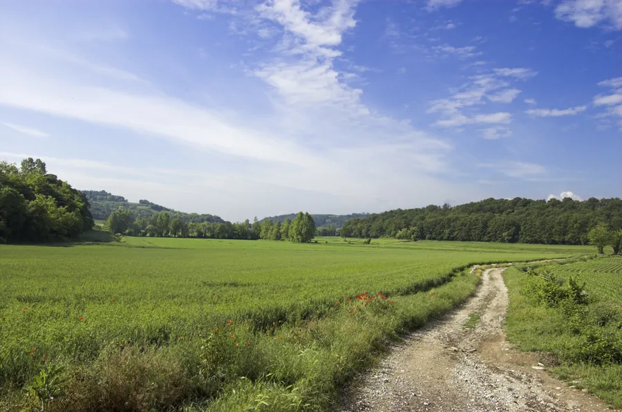 Veduta di Sommacampagna.