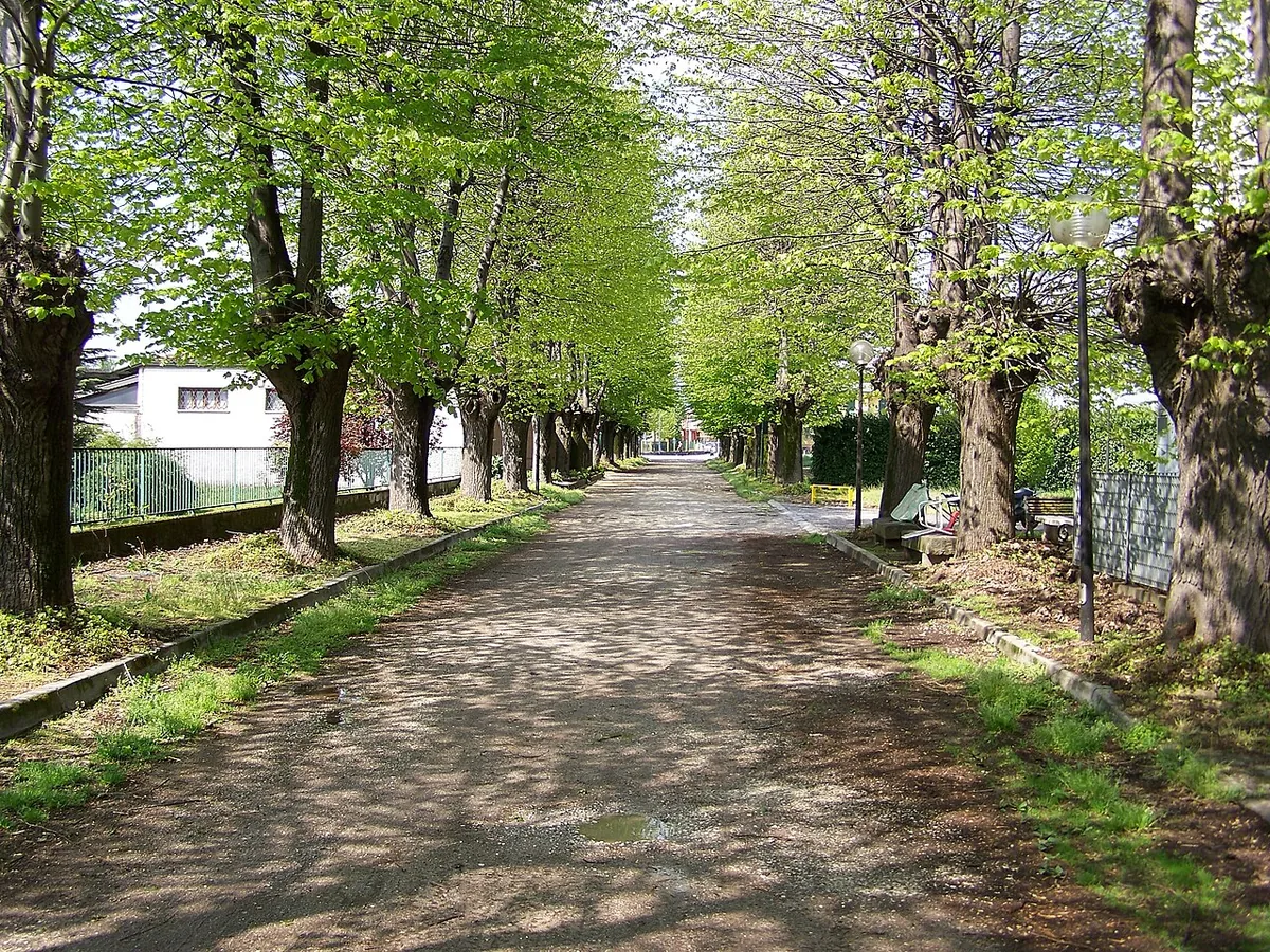 Veduta di Trenzano.